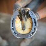 448632610_18274036783225785_6324958246852971237_n